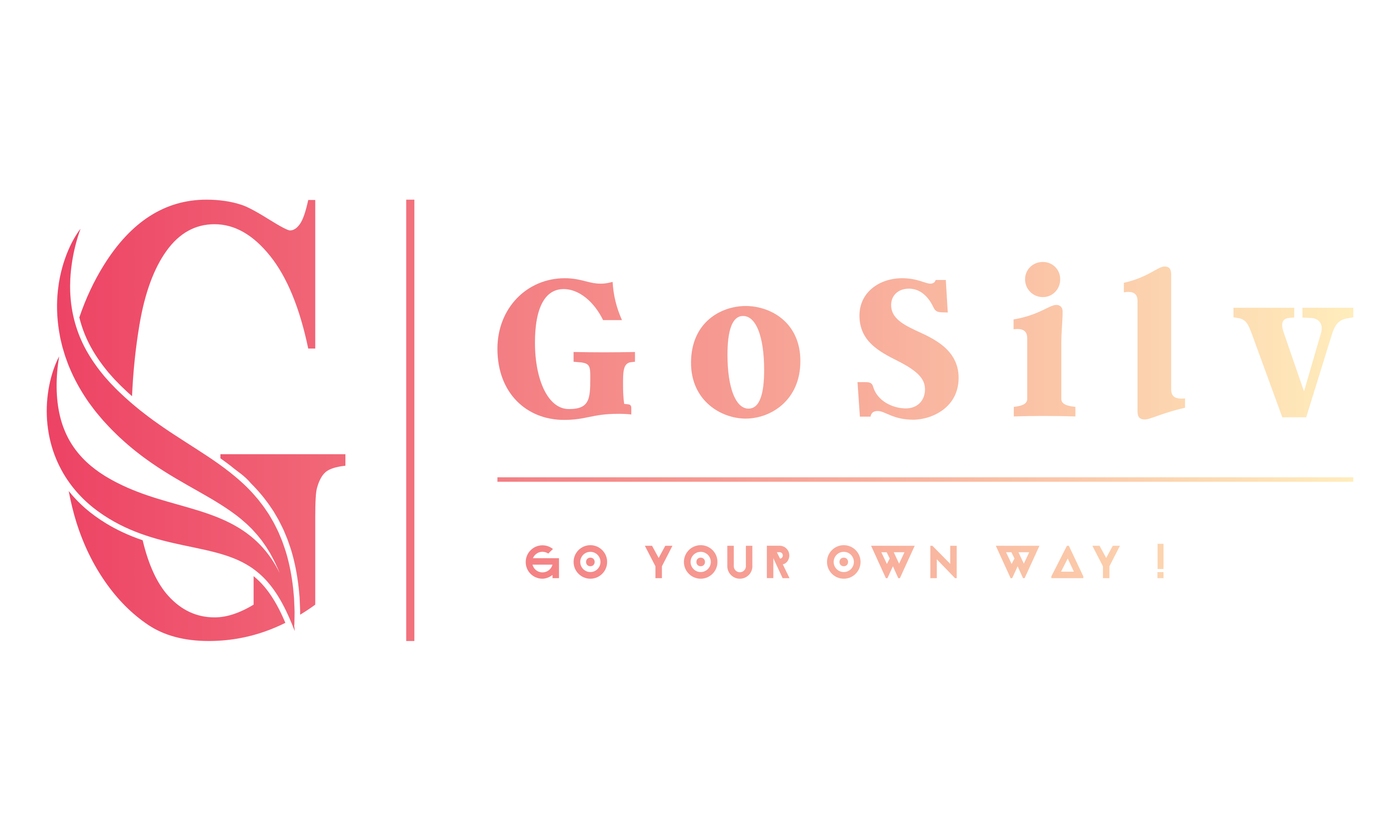 GoSilv Gaming - Jeu Concours 2024